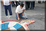 IMG_6867.jpg