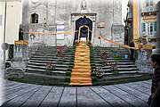 IMG_6873.jpg