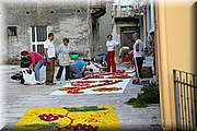 IMG_6874.jpg