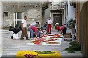 IMG_6875.jpg
