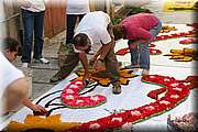 IMG_6876.jpg