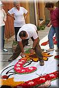 IMG_6877.jpg