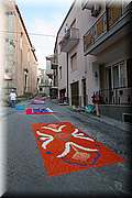 IMG_6879.jpg