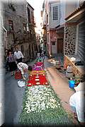 IMG_6923.jpg