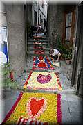 IMG_6939.jpg