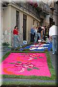 IMG_6940.jpg