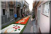 IMG_6941.jpg