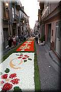 IMG_6942.jpg