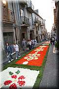 IMG_6943.jpg