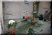 IMG_6948.jpg