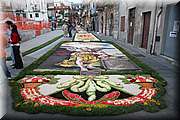 IMG_6957.jpg