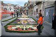 IMG_6960.jpg