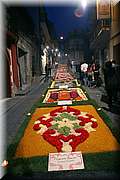 IMG_6962.jpg