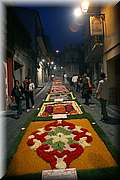 IMG_6963.jpg