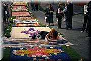 IMG_6964.jpg