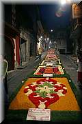 IMG_6969.jpg