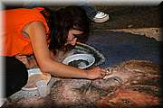 IMG_6974.jpg