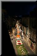 IMG_6981.jpg