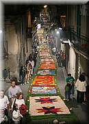 IMG_6984.jpg