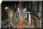 IMG_6986.jpg
