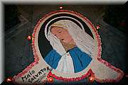 IMG_6997.jpg