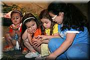 IMG_7004.jpg