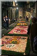 IMG_7010.jpg