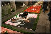 IMG_7013.jpg