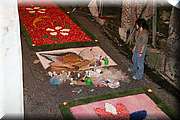 IMG_7017.jpg