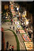 IMG_7030.jpg