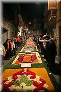 IMG_7047.jpg