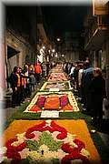 IMG_7048.jpg