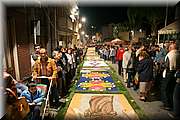 IMG_7051.jpg