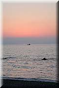 IMG_2816.jpg