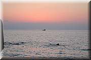 IMG_2817.jpg