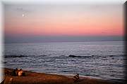 IMG_2907.jpg
