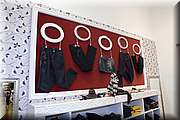 IMG_6846.jpg