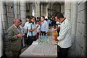 IMG_8309.jpg