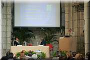 IMG_8382.jpg