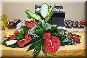 IMG_8131.jpg