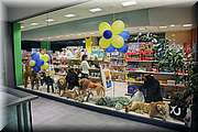 IMG_0521.jpg