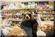 IMG_0523.jpg