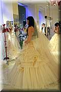 IMG_0583.jpg
