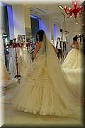 IMG_0584.jpg