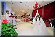 IMG_0635.jpg