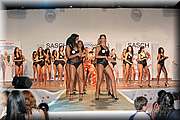 IMG_8878.jpg