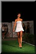 IMG_2381.jpg