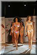 IMG_2880.jpg