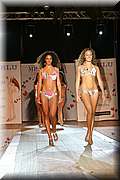 IMG_2881.jpg