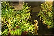 IMG_3453.jpg
